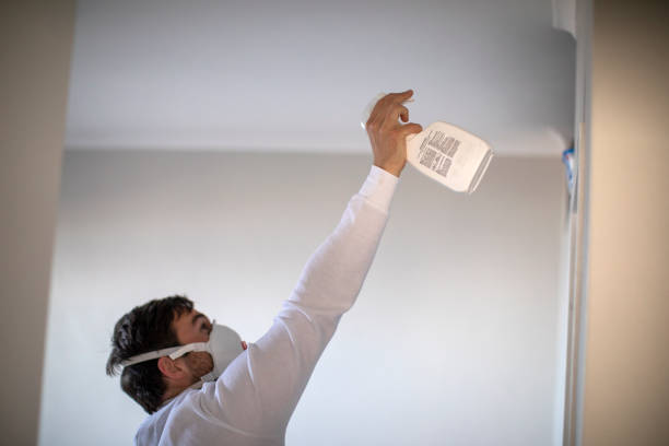 Best White Mold Remediation in Surf City, NJ