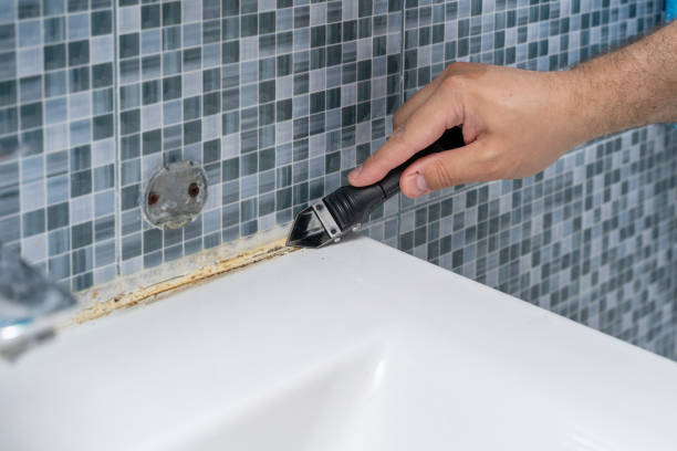 Best Commercial Mold Remediation in Surf City, NJ