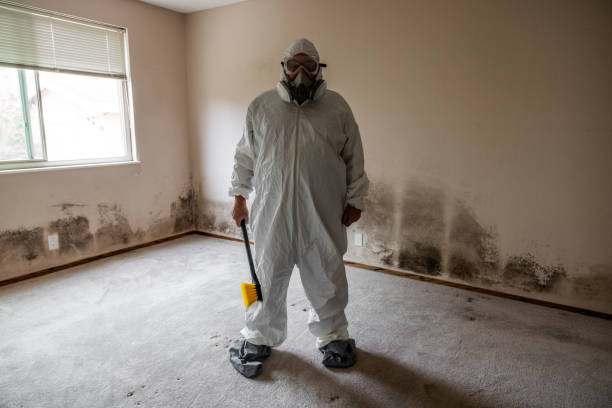 Surf City, NJ Mold Remediation Company